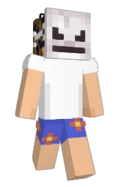 Skin preview