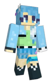 Skin preview