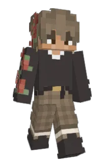 Front of Valligator's skin