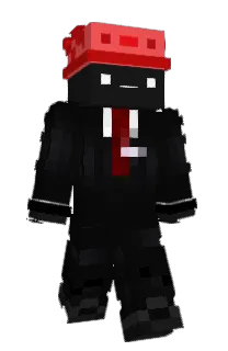 Front of luffed's skin