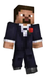 Minecraft skin — Classic model