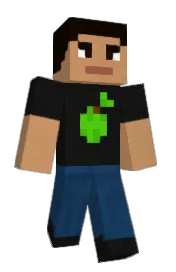 Skin preview