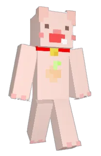 Front of JeongHoo's skin