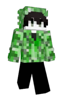 Front of Videodisc's skin