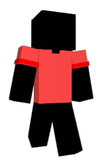 Front of proiie's skin