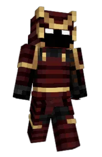 Front of Transversed's skin