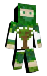 Back of Minecraft skin