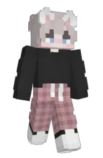 Herwi_'s Minecraft skin