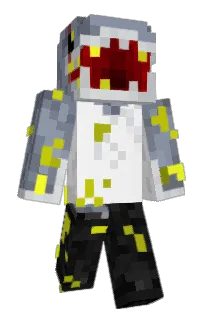 Front of CodeReaders's skin