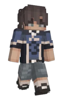Front of DioJuice's skin