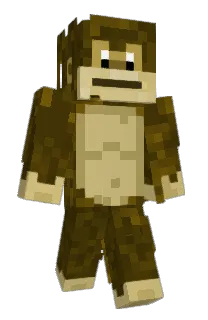 Front of itamarsharim's skin