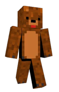 Front of medisek's skin