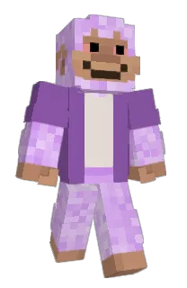 Front of AnisStar's skin