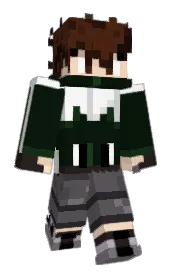 Skin preview