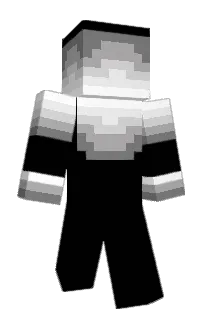 Front of Extrasky's skin