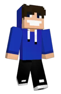 Front of perpexior's skin