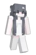 V2nish