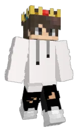 Sinacter's Minecraft skin wearing the Migrator cape