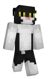 cod gray and silver Minecraft skin — Classic model — first worn by JamesWasThere