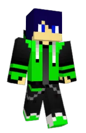 Skin preview