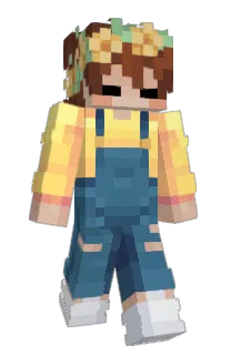 Front of Minecraft skin