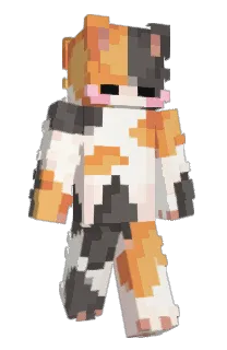 Front of fellagort's skin