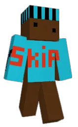 Minecraft skin — Classic model