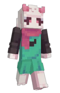 Front of Elsmid's skin