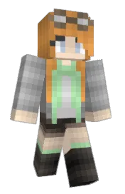 Skin preview