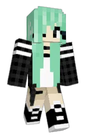 Skin preview