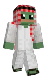 AkiaRyu's Minecraft skin wearing the Migrator cape