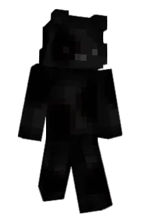 Front of Disguste's skin
