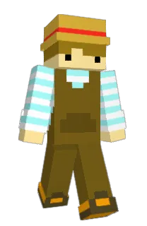 wood11044's Minecraft skin
