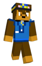 Skin preview