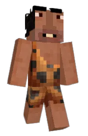 Skin preview