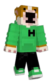 Skin preview