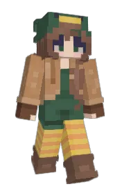 Skin preview