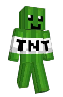 Front of PMG28's skin