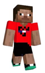 Minecraft skin — Classic model