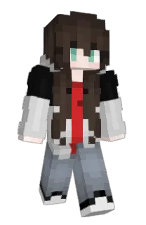 Front of YEETSONIC's skin