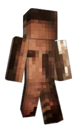 weherio's Minecraft skin wearing the Migrator cape
