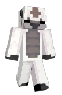 mrvds's Minecraft skin