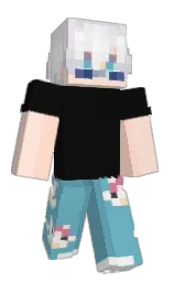 Classic Minecraft skin
