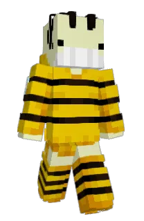 Front of whale019's skin