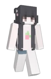 Skin preview