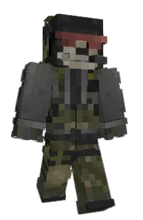 Front of Wixterium's skin
