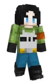Skin preview