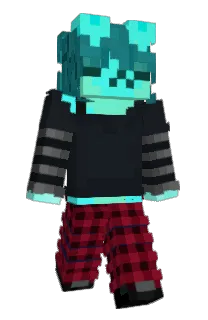 Front of hhxa's skin