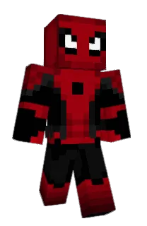 Front of Rocsilg's skin
