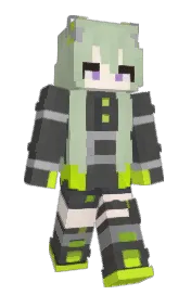 Skin preview